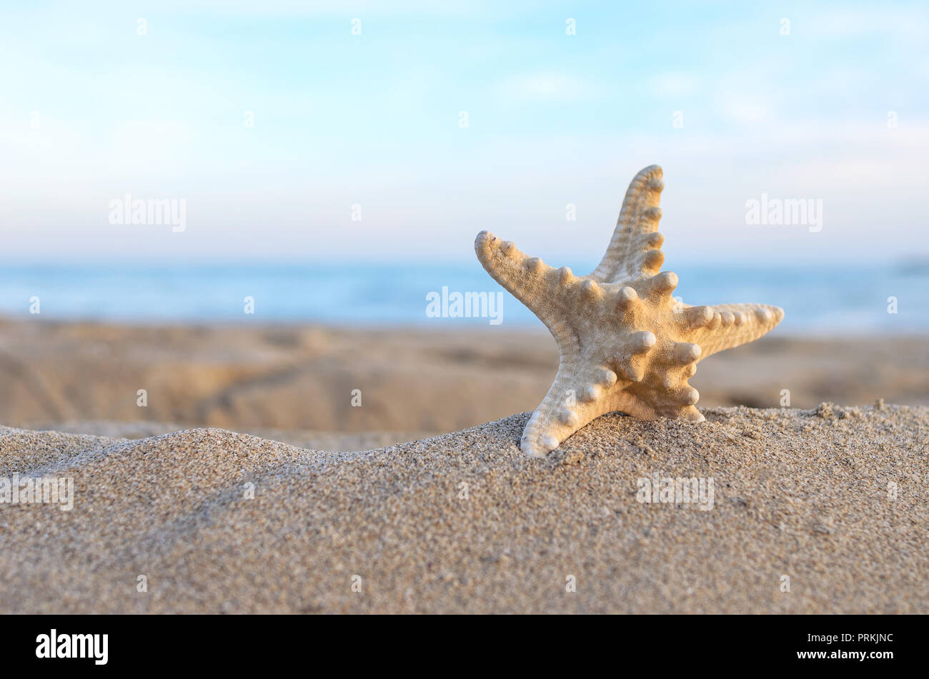 Les étoiles dans le sable sur la plage. Banque D'Images