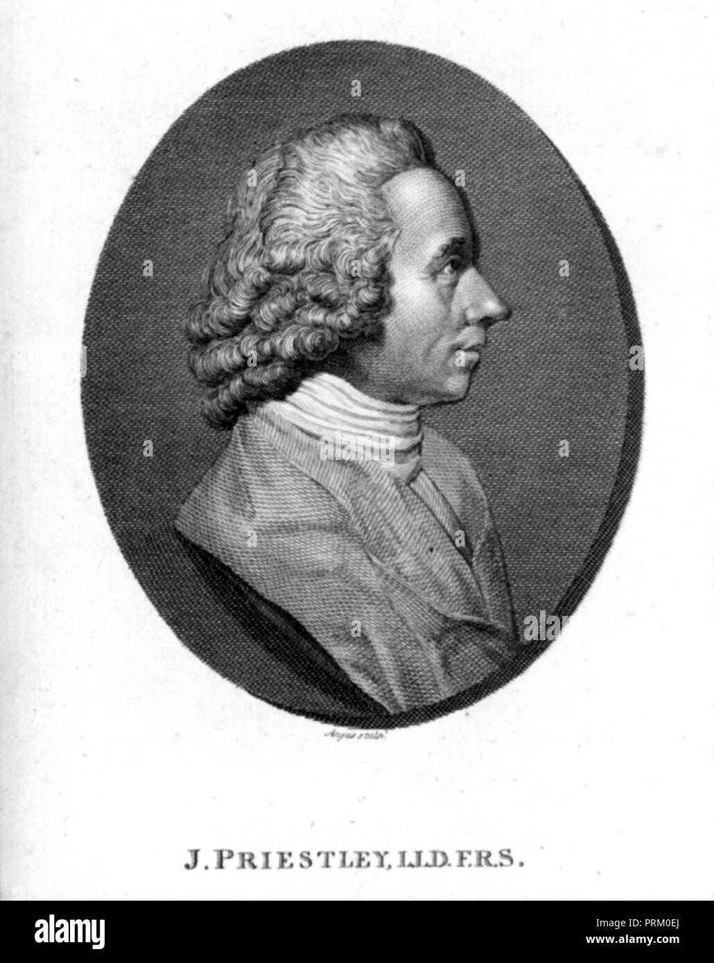 JOSEPH PRIESTLEY (1733-1804) Philosophe anglais, chimiste et théoricien de la politique Banque D'Images