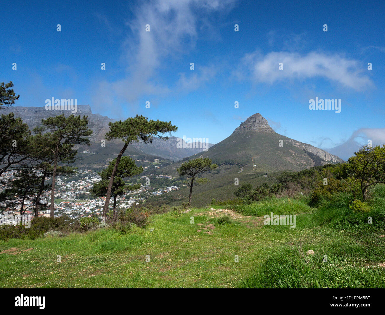 Tête de Lion mountain de Signal Hill, à Cape Town, Afrique du Sud, avec la Montagne de la Table sur la gauche Banque D'Images