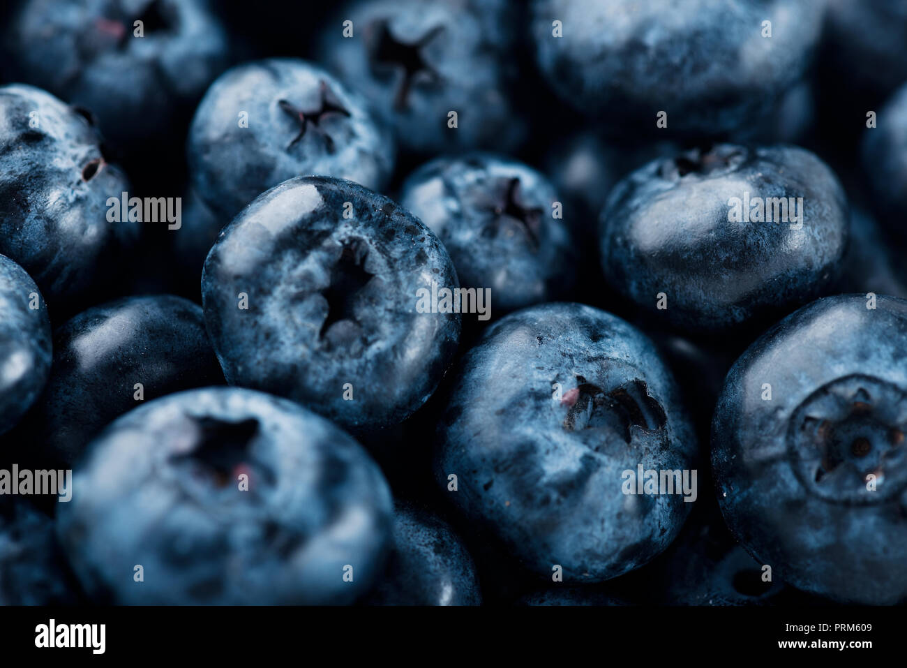 Arrière-plan de bleuets frais. Petits fruits bleuets texture Banque D'Images