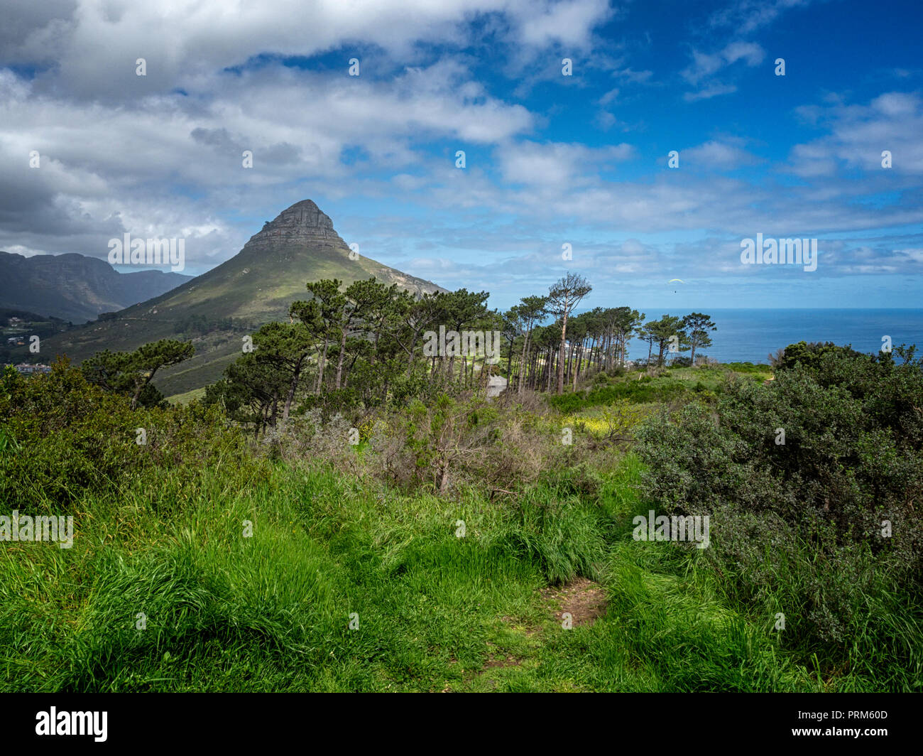 Tête de Lion mountain de Signal Hill, à Cape Town, Afrique du Sud Banque D'Images