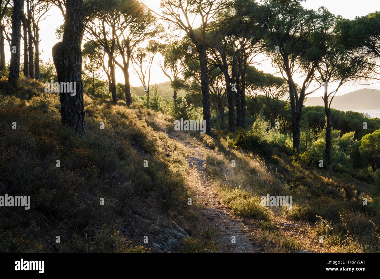 Promenade panoramique dans les collines au-dessus d'Ayvalik, Balikesar, Turquie Banque D'Images