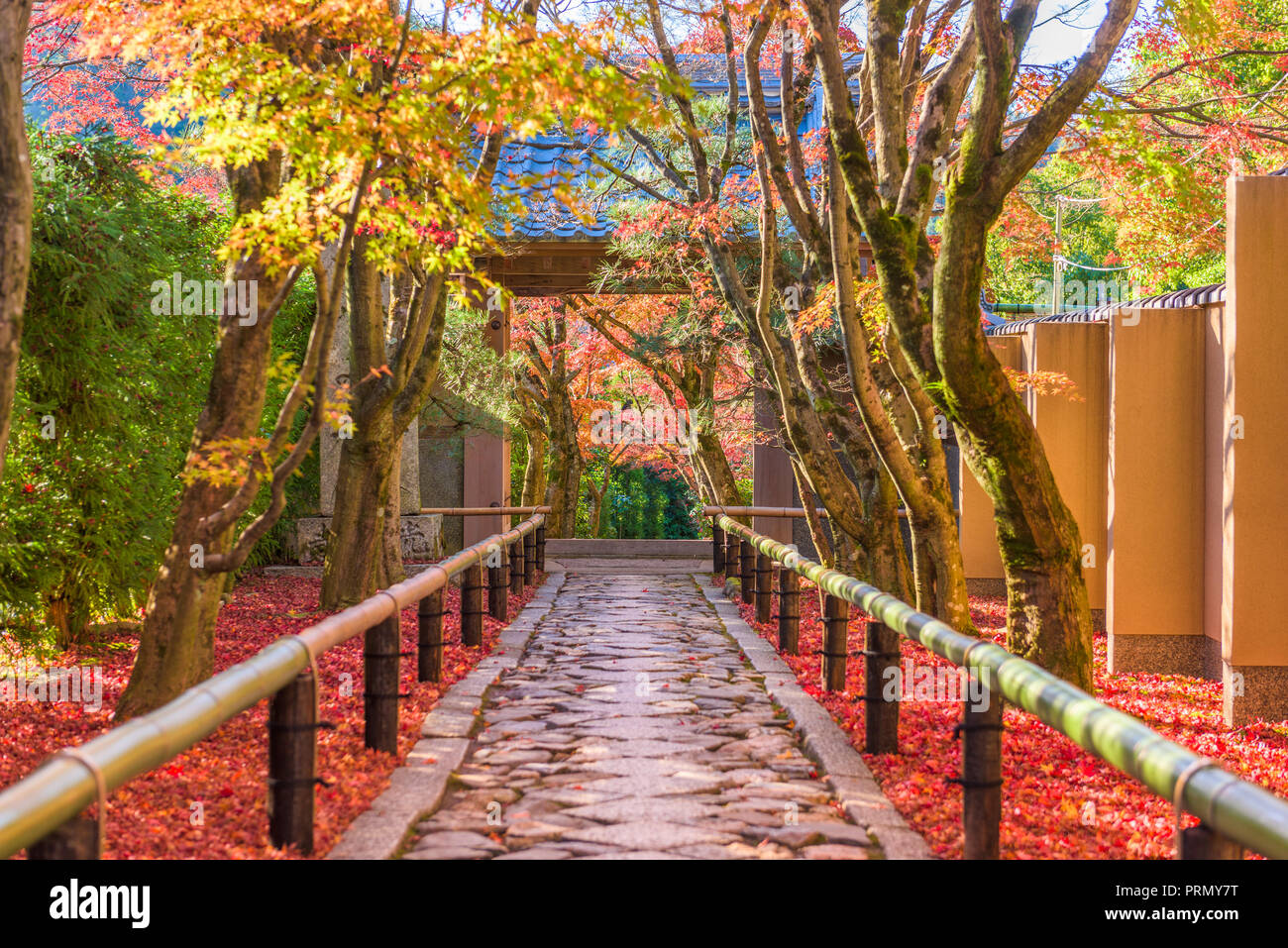 Kyoto, Japon temple entrée dans saison d'automne. Banque D'Images