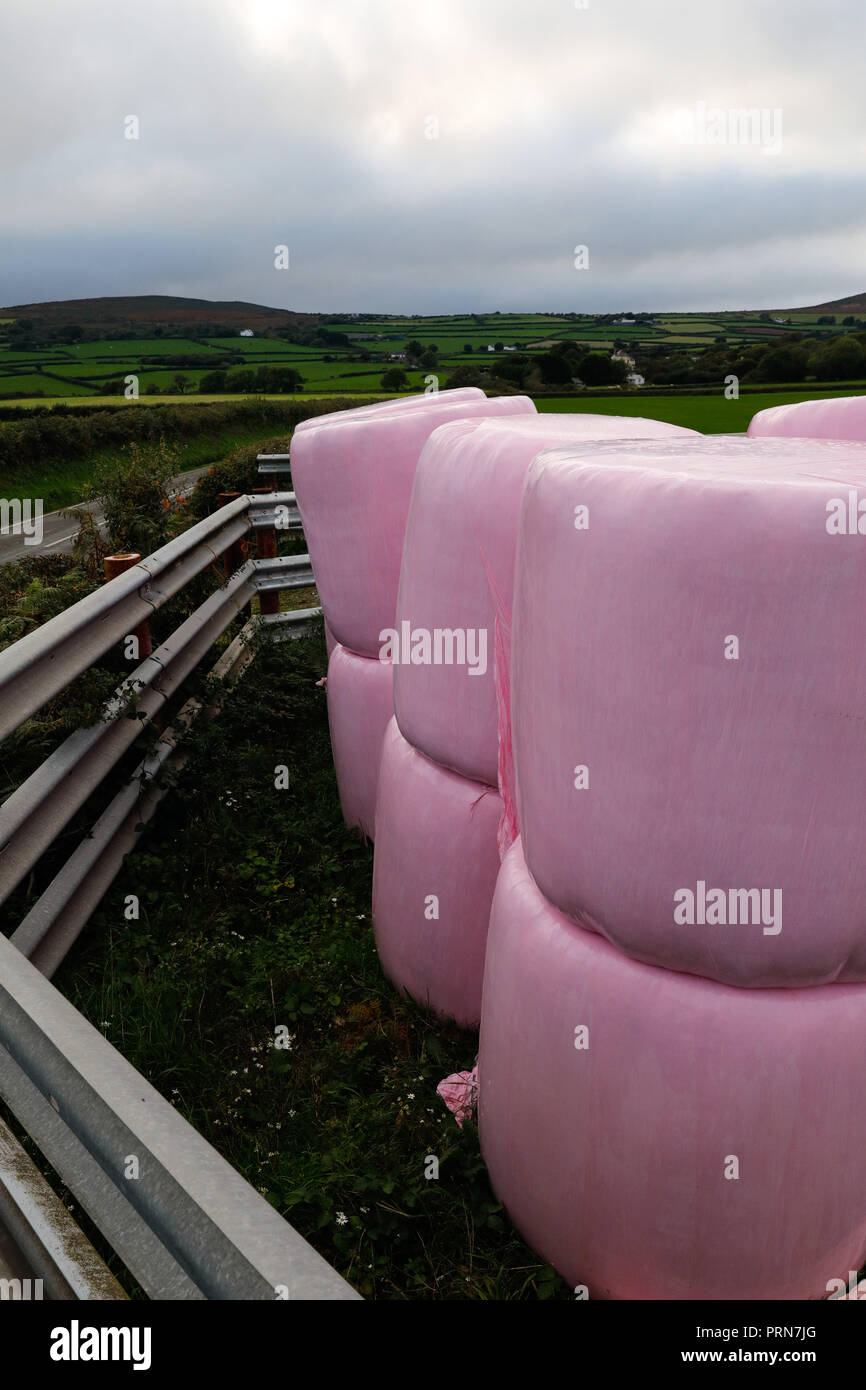 La péninsule de Gower, Swansea, Royaume-Uni. 3 octobre 2018. Prévisions : principalement agricole gris avec une touche de rose. De nombreuses années d'ensilage a été conservé dans l'emballage hermétique en plastique noir ou blanc ou vert parfois. Mais pour le dernier mode d'agriculture rose est le nouveau noir pour le stockage de ce fourrage dans le plein air, ici, sur la péninsule de Gower, près de Swansea, Pays de Galles, de crédit : Gareth Llewelyn/Alamy Live News. Banque D'Images