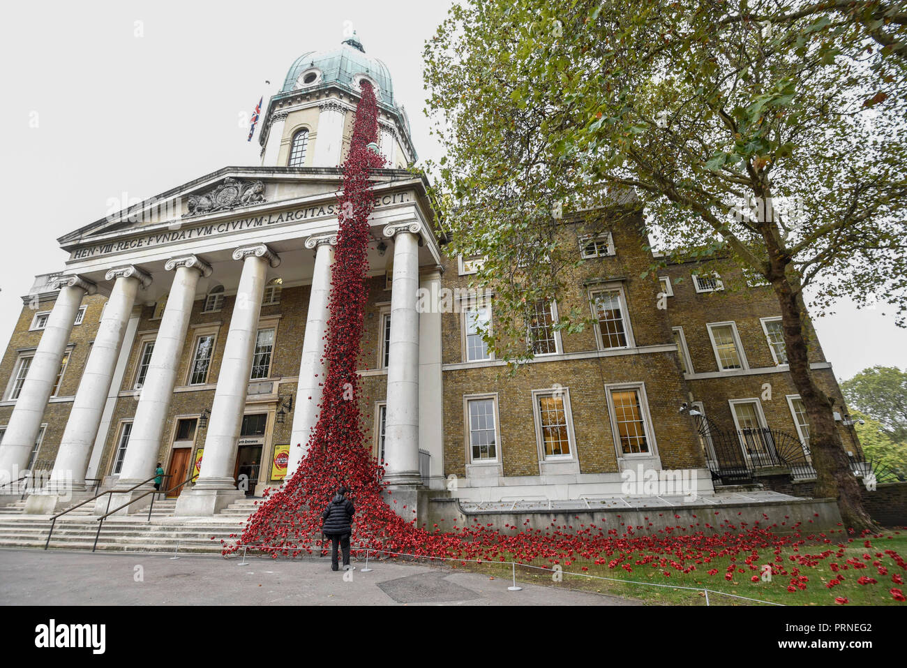 Londres, Royaume-Uni. 4 octobre 2018. Pleureur 'fenêtre', la célèbre sculpture de pavot par l'artiste Paul Cummins et designer Tom Piper est dévoilé à l'Imperial War Museum. La présentation finale de la fenêtre en pleurs dans le cadre de 14-18 C'est maintenant à l'échelle de l'UK tour des coquelicots et de la première fois ou l'autre courbe ou la fenêtre en pleurs sont retournés dans la capitale puisqu'ils faisaient partie des "terres et mers de sang ont balayé de Red' à la Tour de Londres en 2014. La sculpture sera sur place jusqu'au 18 novembre 2018. Crédit : Stephen Chung / Alamy Live News Banque D'Images