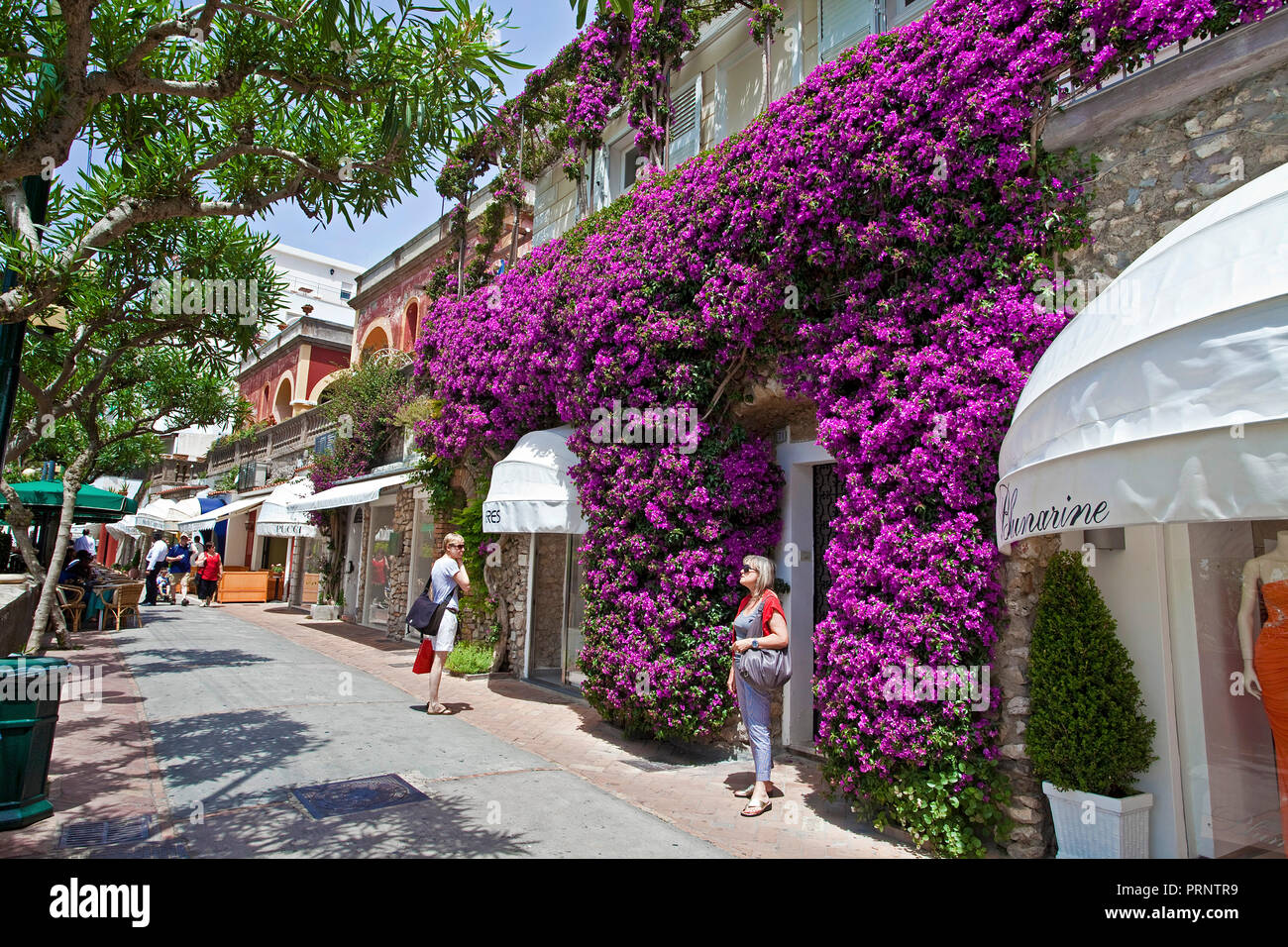 Boutiques de luxe un alley, vieille ville de l'île de Capri, le golfe de Naples, Campanie, Italie Banque D'Images