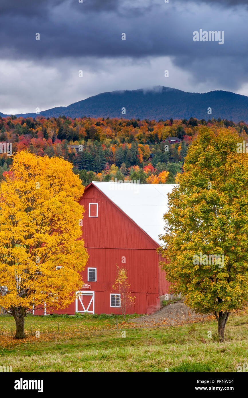 Automne feuillage entourant grange rouge près de Stowe, Vermont, Etats-Unis Banque D'Images