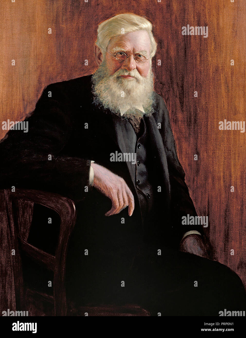 Alfred Russel Wallace (8 janvier 1823 - 7 novembre 1913) est un naturaliste, géographe, explorateur, anthropologue et biologiste. Banque D'Images