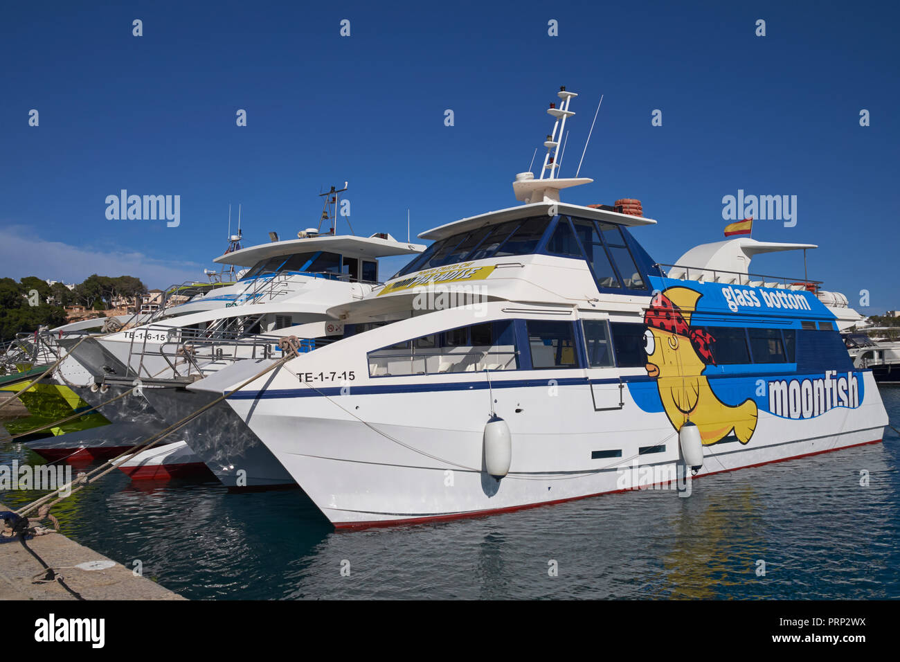 L'Moonfish catamaran à fond de verre à Porto Cristo, Manacor, Majorque, Iles Baléares, Espagne. Banque D'Images