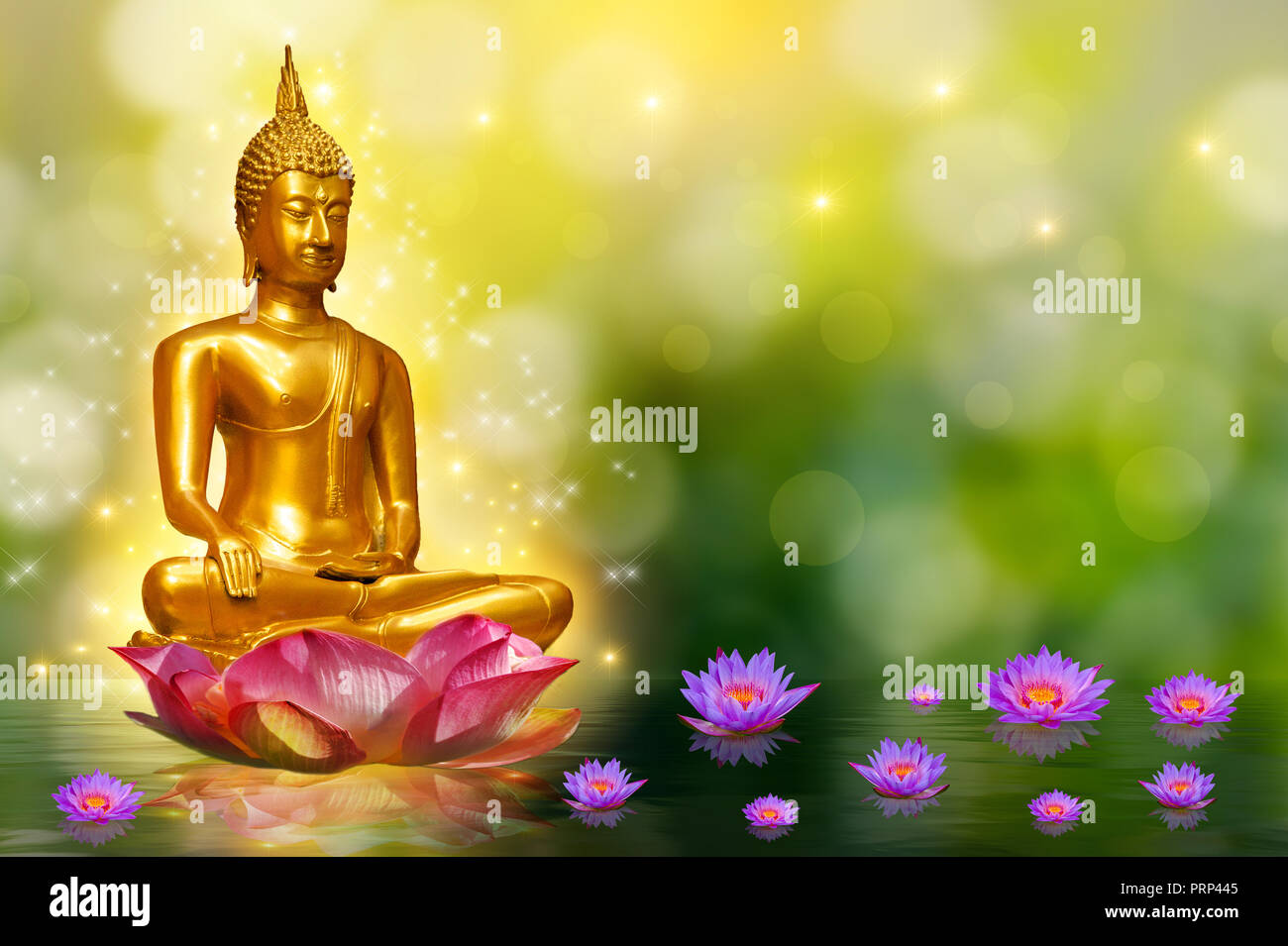 Statue De Bouddha Bouddha Lotus De L Eau Debout Sur Fleur De Lotus Sur Fond Orange Photo Stock Alamy