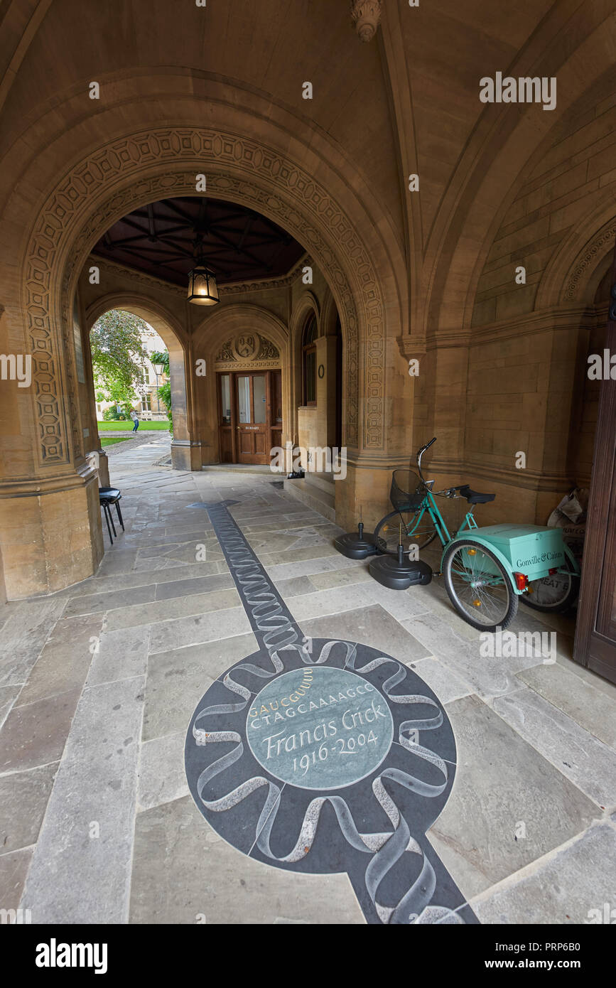 Mémorial à Francis Crick (qui, avec Watson, a découvert le cœur de l'hélice d'ADN) sur le parquet de d'ajouter M. Conville & Caius College à l'université de Cambridg Banque D'Images