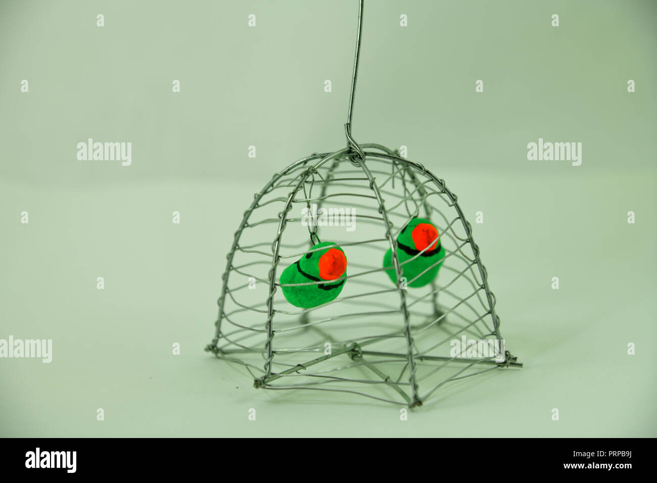 Les Oiseaux En Cage à Suspendre Le Marchéutilisation Pour