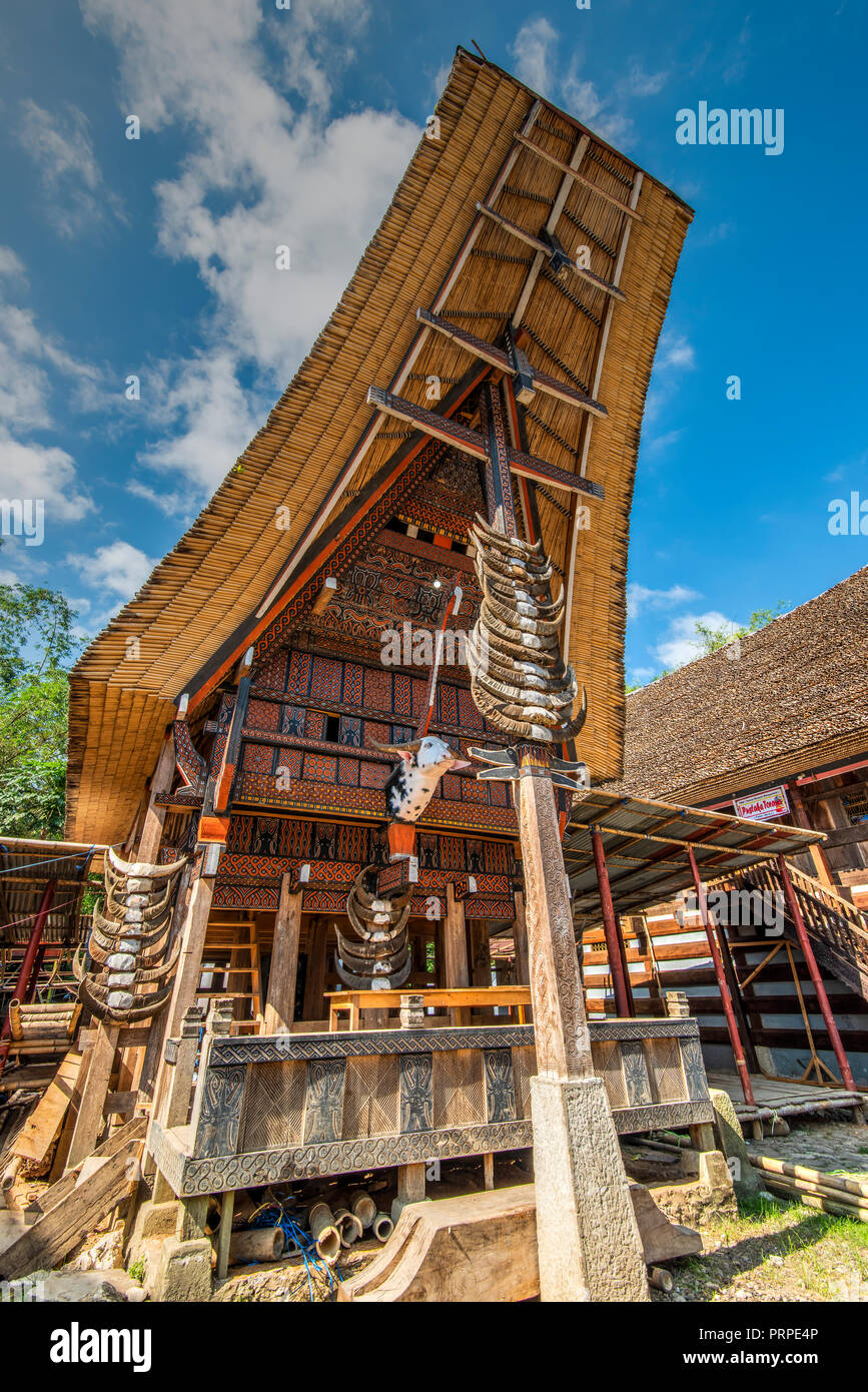 Maison typique Tongkonan, Rantepao, Tana Toraja, Sulawesi, Indonésie Banque D'Images