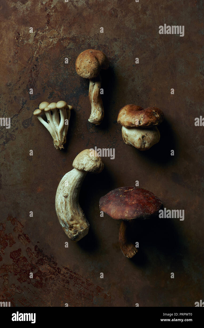 Vue du dessus de l'assortiment de champignons comestibles crus sur surface grunge sombre Banque D'Images