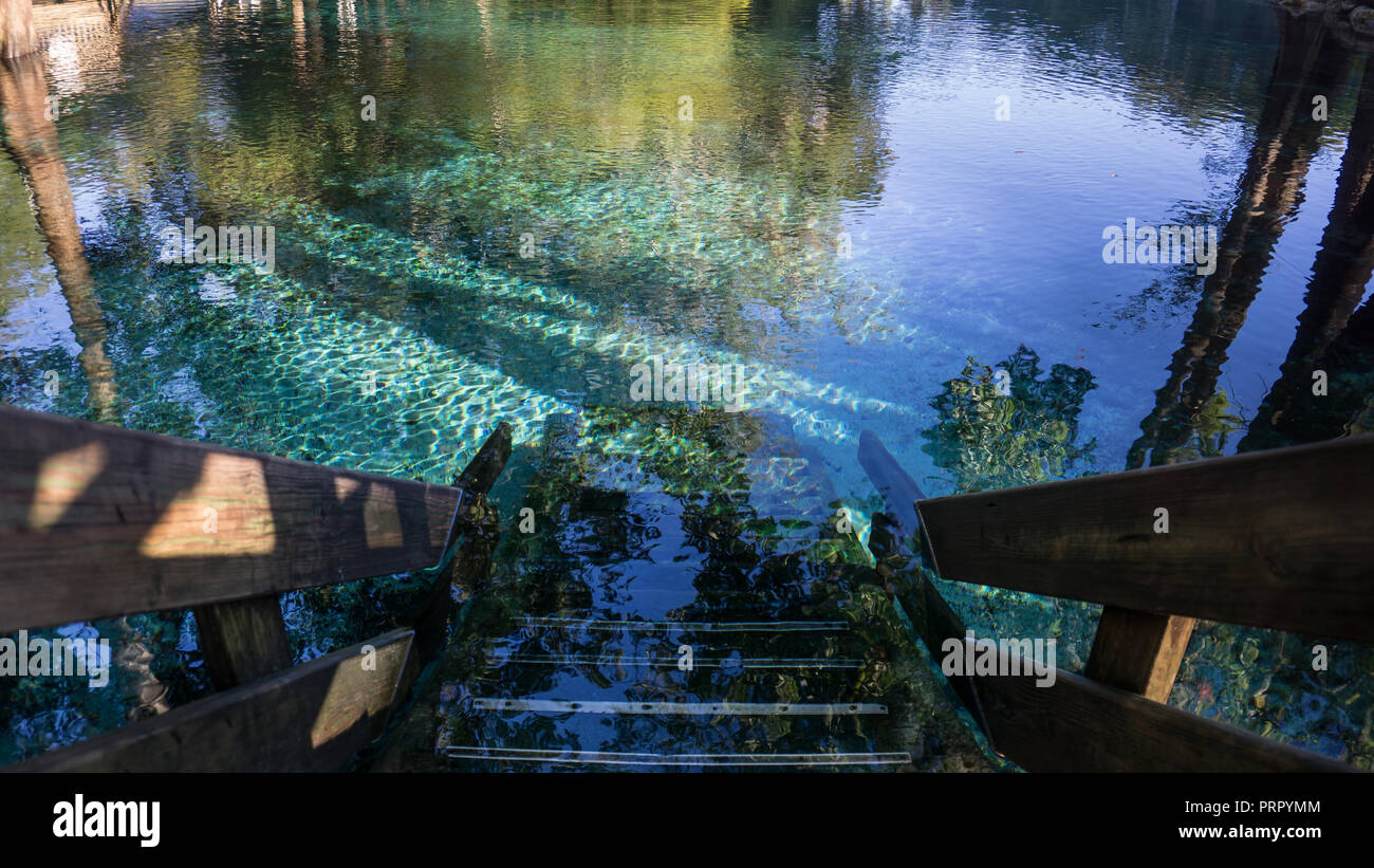 Escalier en bois étapes allant jusqu'à l'eau turquoise cristalline de Ginnie Springs, en Floride. Dans la région de Santa Fe river Banque D'Images