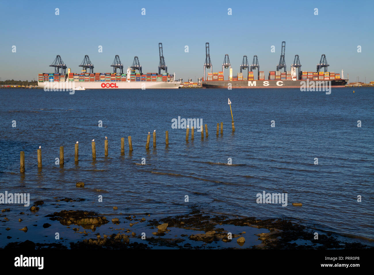 Deux grands navires porte-conteneurs amarré au port de Felixstowe dans le Suffolk. Banque D'Images