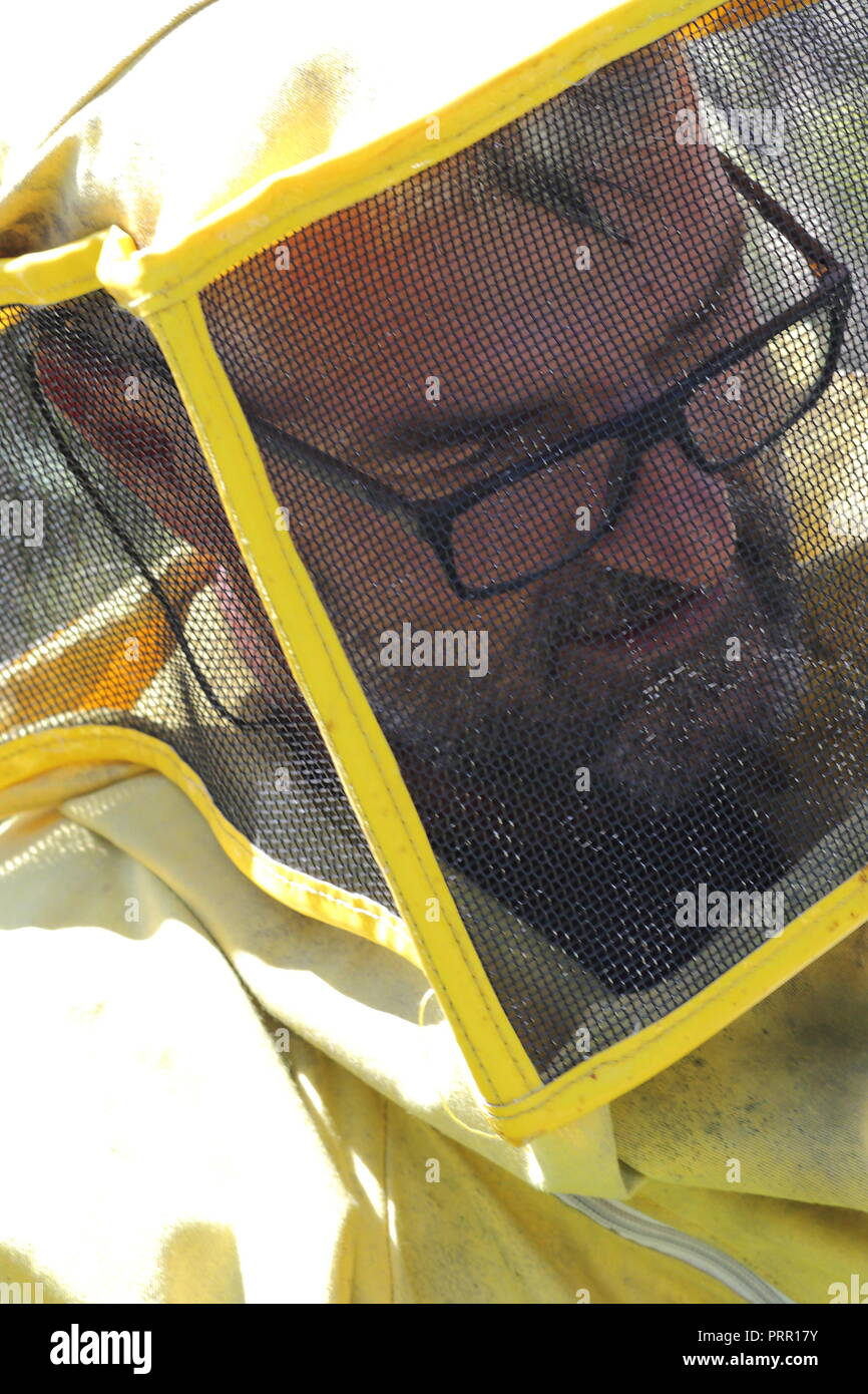 Portrait d'un apiculteur portant des lunettes, une combinaison de protection et un masque jaune. Banque D'Images