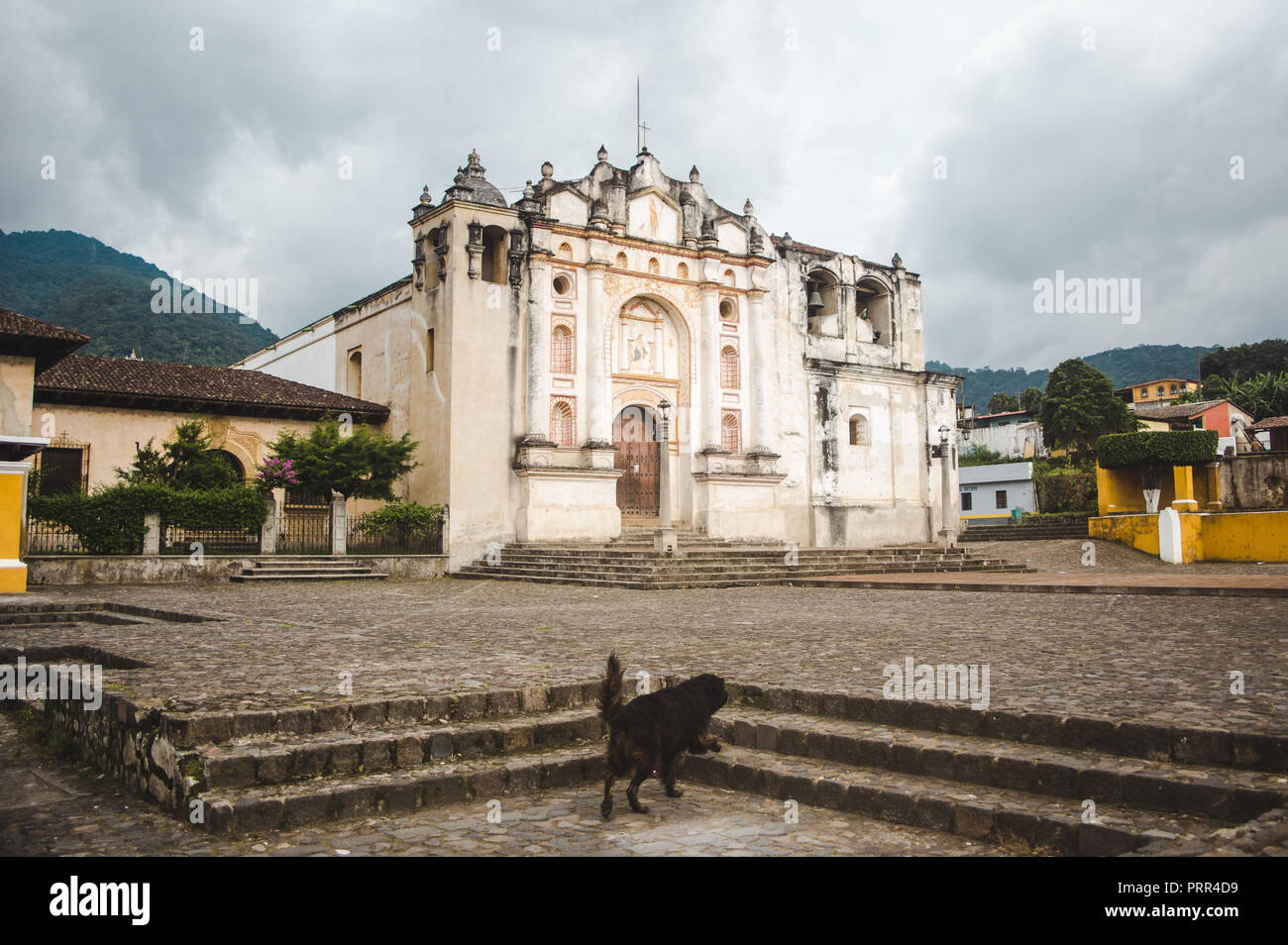 Chien errant se présente comme suit pour une église de la place principale de la petite ville de San Juan del Obispo, juste à l'extérieur d'Antigua, Guatemala Banque D'Images