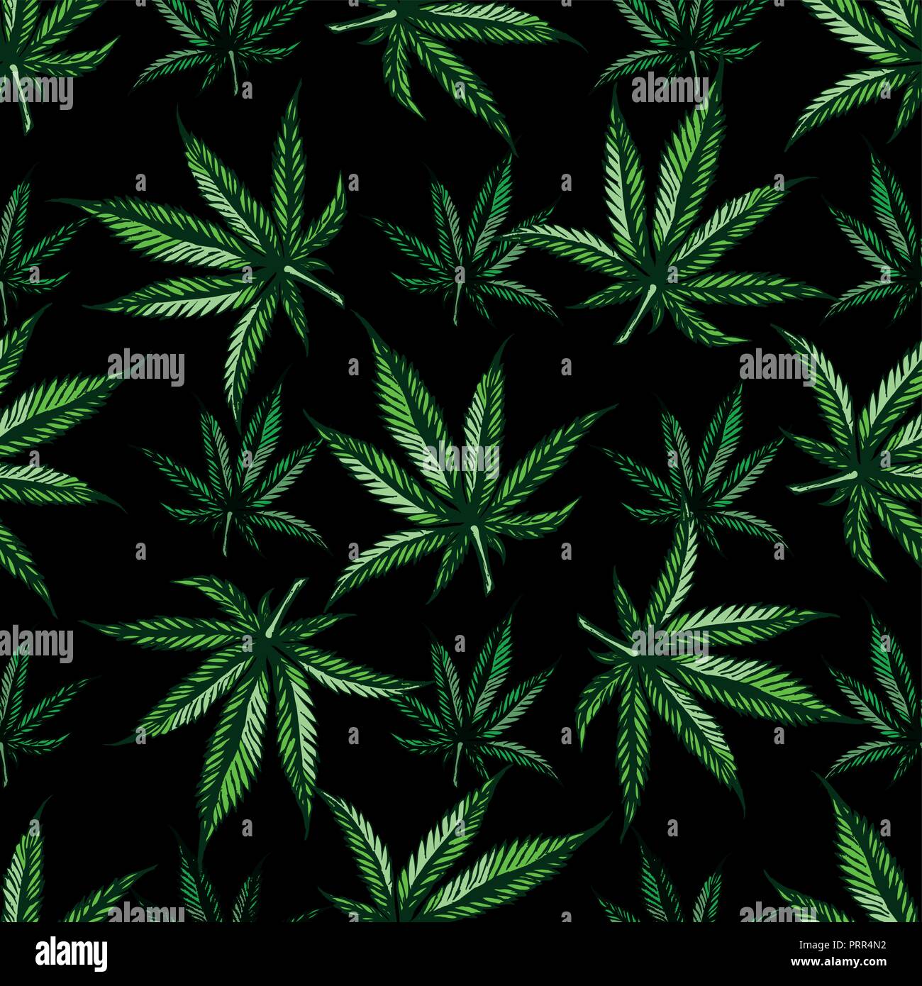 Modèle transparent avec feuille de marijuana. Design dessinés à la main, le cannabis. Vector illustration gravure couleur vintage pour l'étiquette, affiche, web. Isolé sur blac Illustration de Vecteur