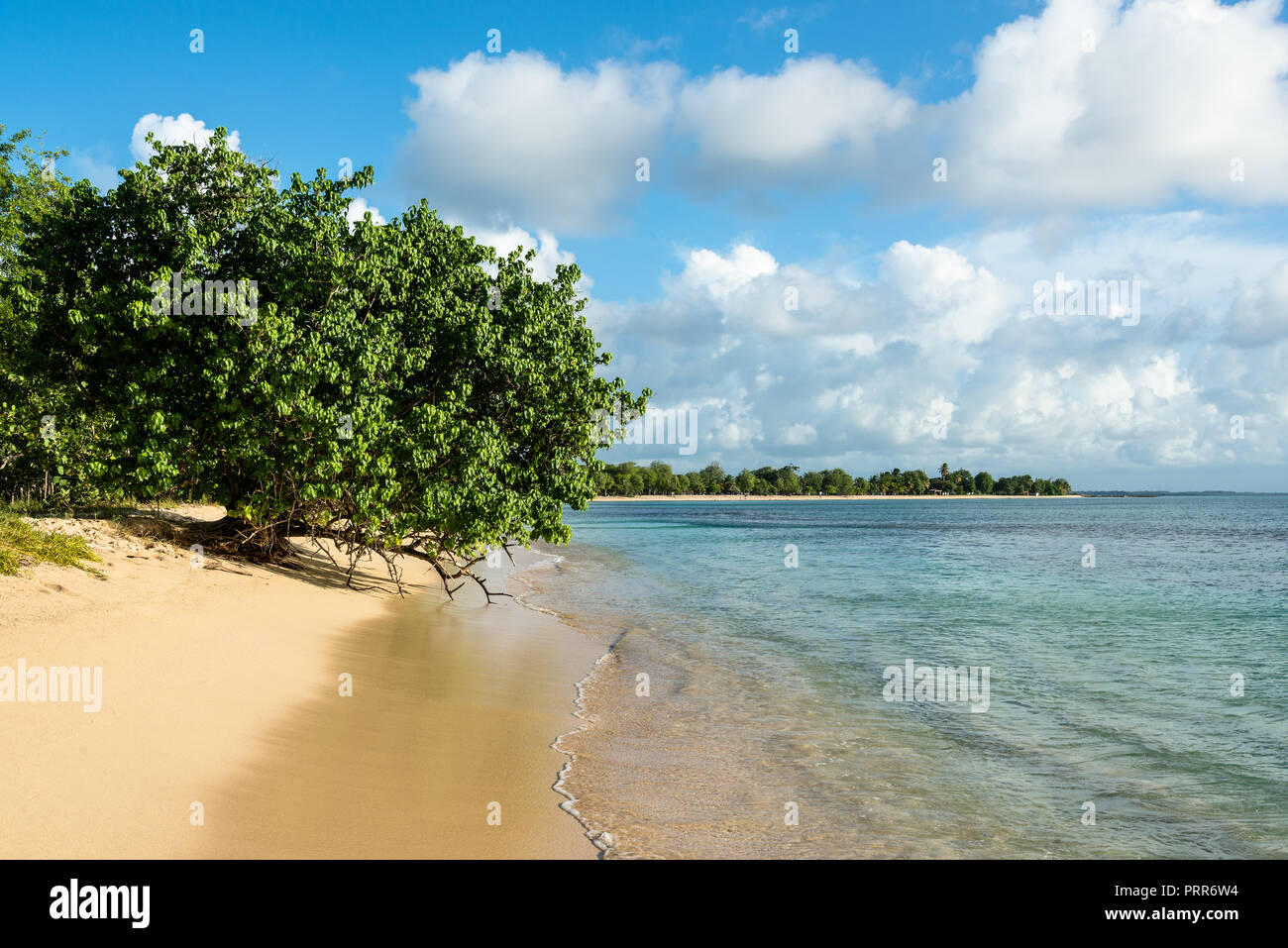 La plage Plage du souffleur' à Port Louis, Guadeloupe Photo Stock - Alamy