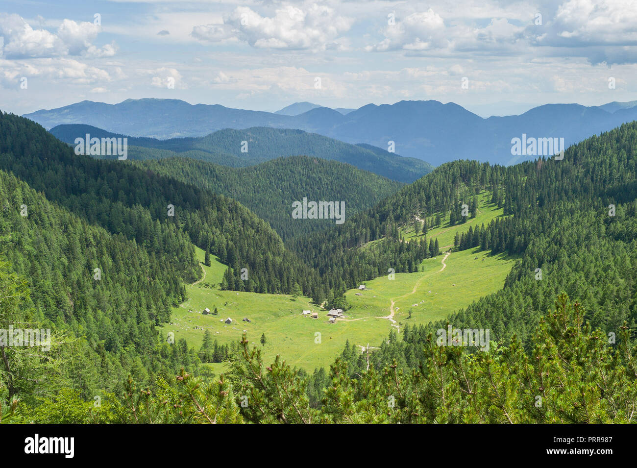Vue depuis le chemin au-dessus de Konjščica dans le parc national du Triglav, Alpes Juliennes, en Slovénie. Banque D'Images