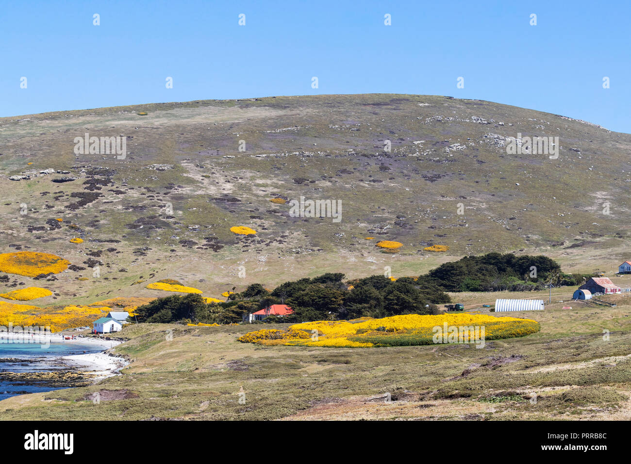 La ferme de l'Université McGill, localement appelé un camp, sur l'île de la carcasse, Falklands Banque D'Images