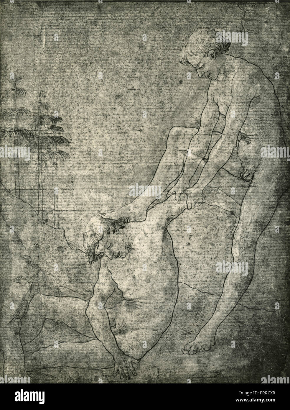 Des études de corps, dessin de Pollaiolo, 1920 Banque D'Images