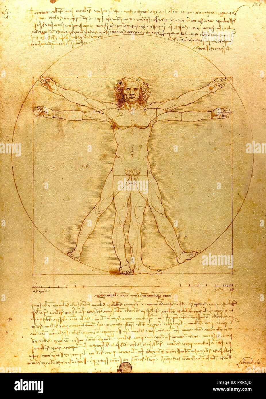 Homme de Vitruve par Leonardo da Vinci (1492), encre de stylo de dessin sur papier et laver Banque D'Images