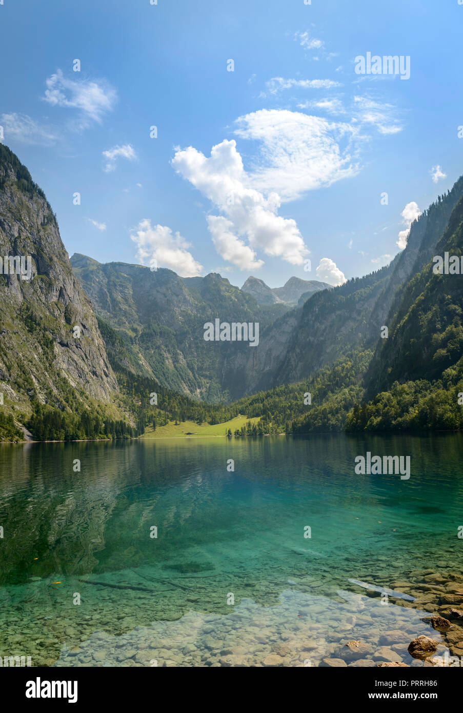 Obersee, lac de montagne, paysage de montagne, salet am Königssee, le parc national de Berchtesgaden, Berchtesgadener Land Banque D'Images