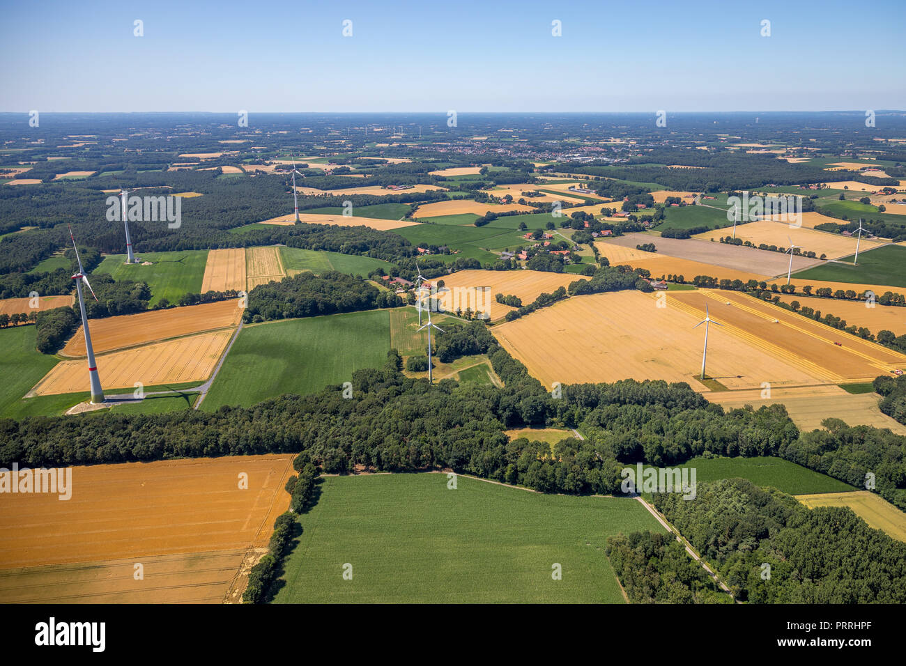 Des champs de céréales et les prairies, sommaire, près de Ostbevern, Münsterland, Rhénanie du Nord-Westphalie, Allemagne Banque D'Images