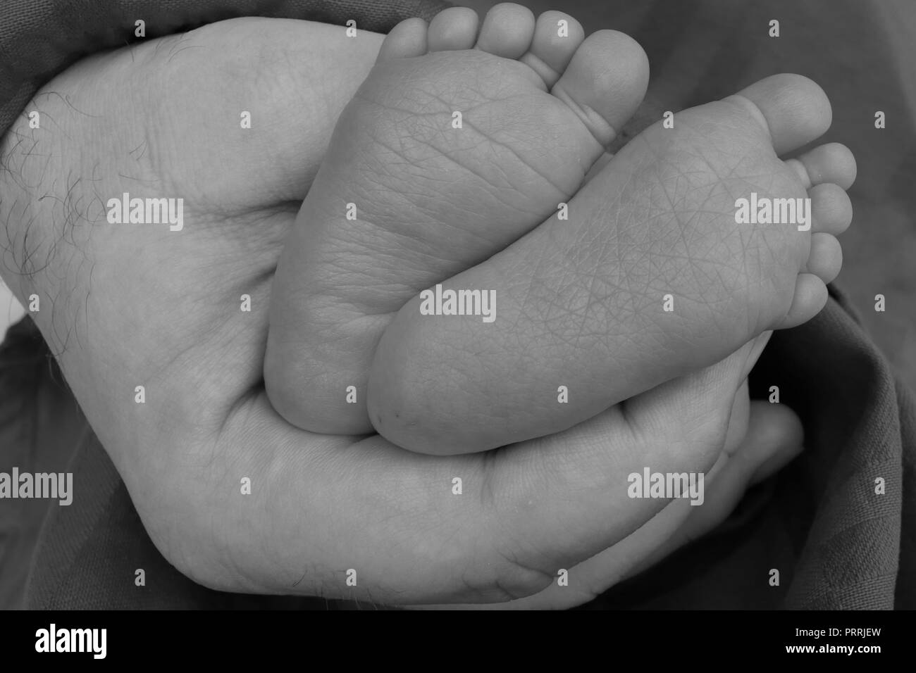 Les pieds de bébé père tient dans sa main en noir et blanc Banque D'Images
