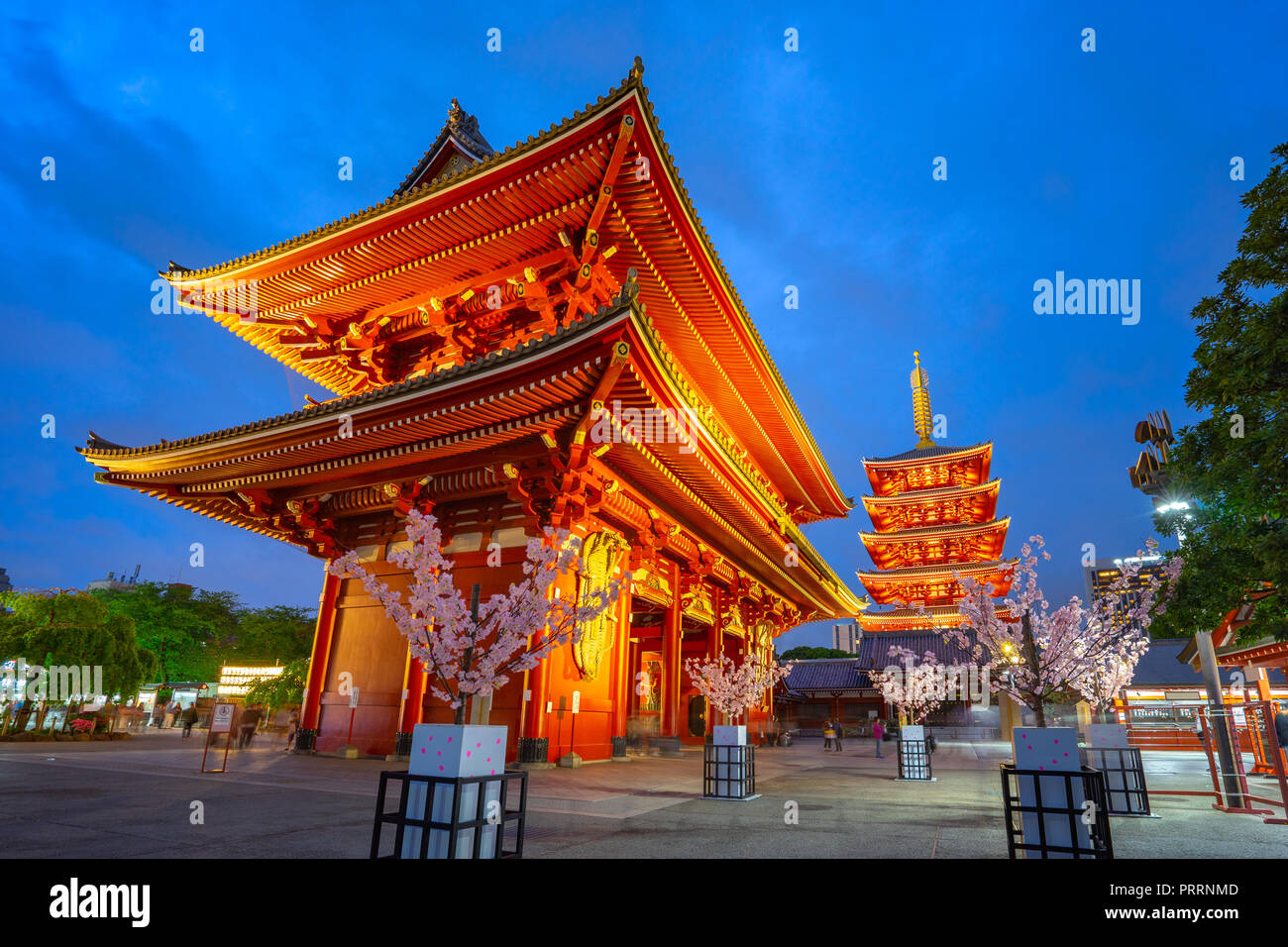 Nuit dans la ville de Tokyo avec temple Sensoji au Japon. Banque D'Images