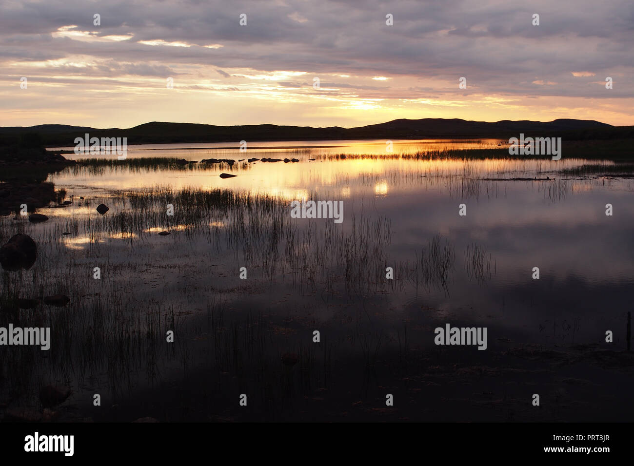 Un coucher du soleil sur un petit loch près de Achnahaird beach, de l'Écosse en premier plan des plantes de l'eau Banque D'Images