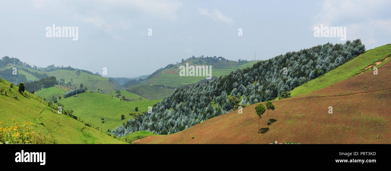 Les paysages ruraux dans l'ouest du Rwanda. Banque D'Images