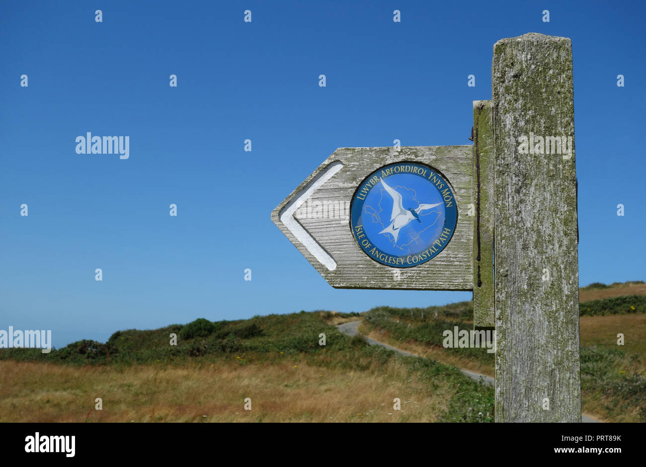 Panneau en bois pour l'île d'Anglesey Sentier Littoral près du village de pêcheurs de Cemaes, Pays de Galles, Royaume-Uni. Banque D'Images