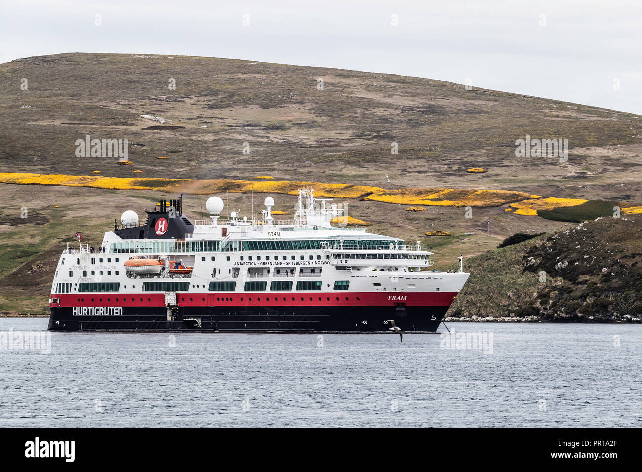 Le navire d'expédition Hurtigruten Fram ancré au large des Malouines, l'Île Nouvelle Banque D'Images