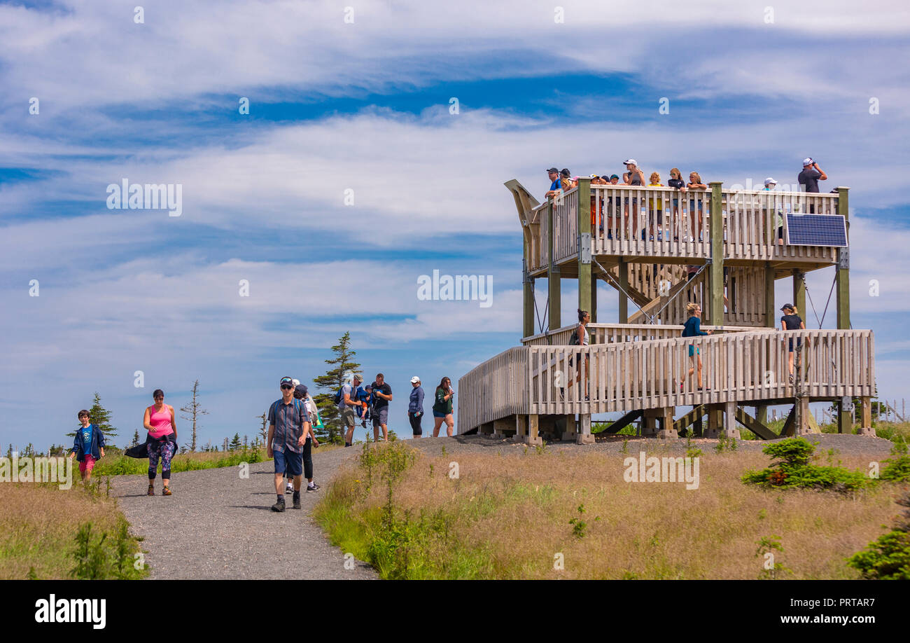 L'île du Cap-Breton, Nouvelle-Écosse, Canada - Personnes à une tour d'observation de l'orignal en cages sur le sentier Skyline à Cape Breton Highlands National Park. Banque D'Images
