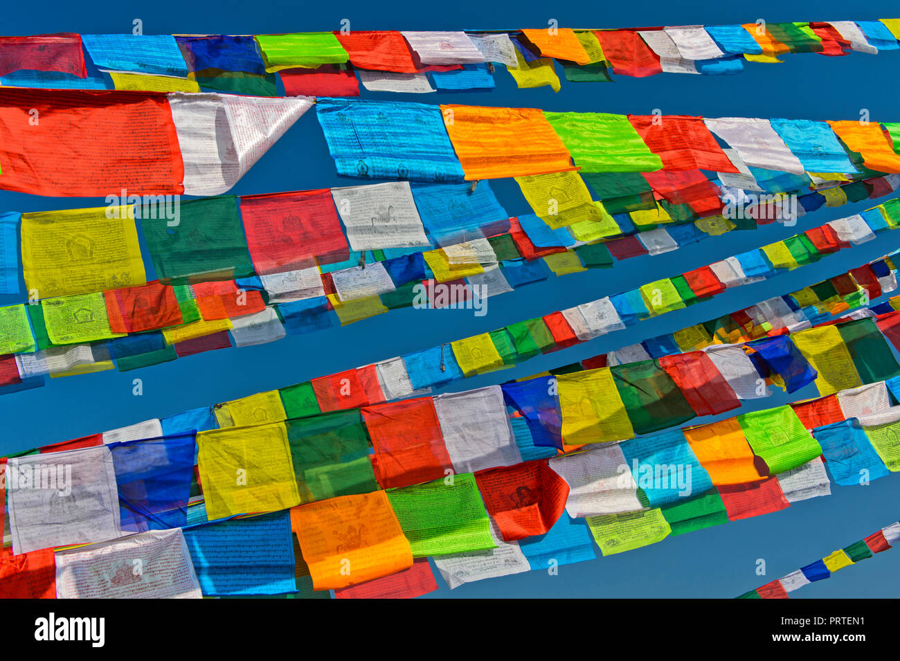 Les drapeaux de prières bouddhistes, Stupa Boudhanath, Katmandou, Népal Banque D'Images Les drapeaux de prières bouddhistes, Stupa Boudhanath, Katmandou, Népal Banque D'Images
