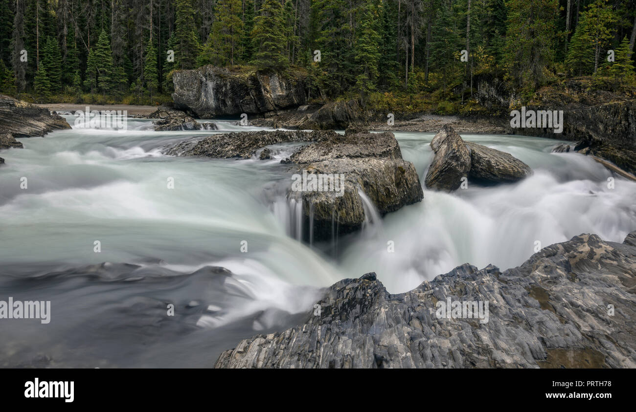 Près de la rivière Kicking Horse le pont naturel, le parc national Yoho Banque D'Images