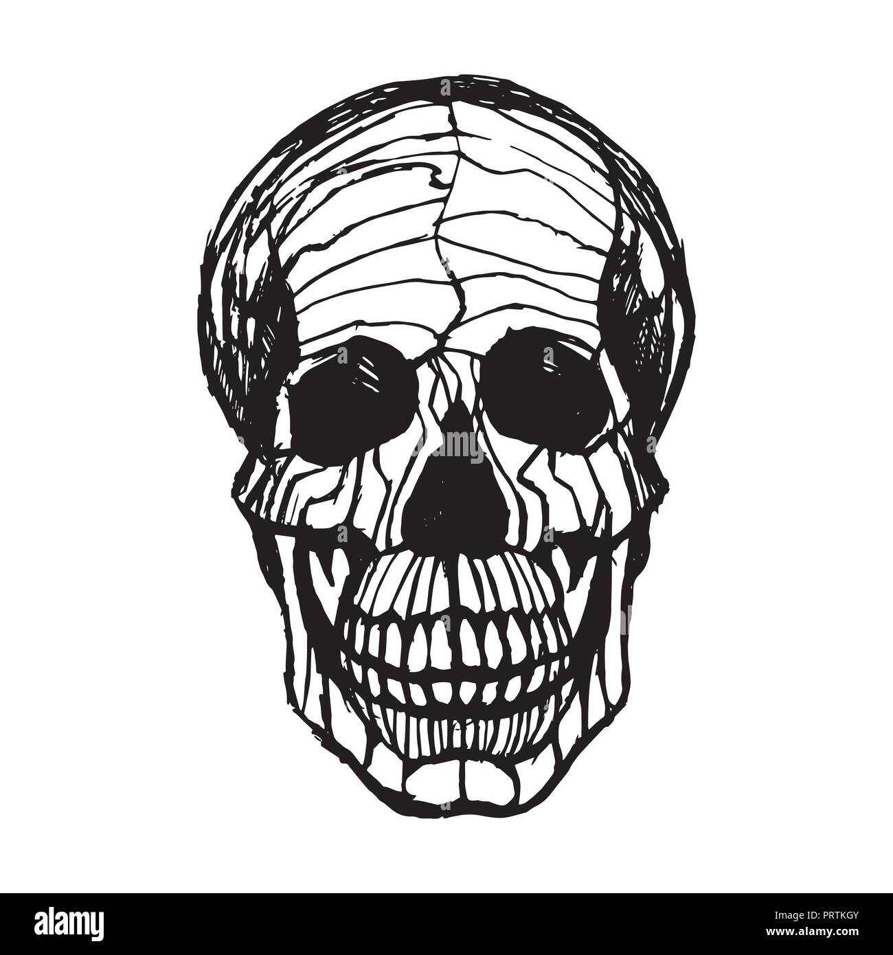Vector illustration noir et blanc de crâne humain avec une mâchoire inférieure à l'encre à la main style. Illustration de Vecteur