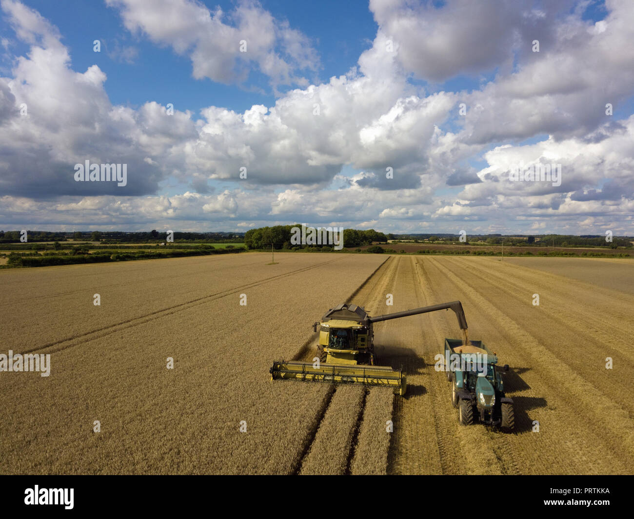 Tracteur et moissonneuse-batteuse, la récolte du blé champ, elevated view Banque D'Images