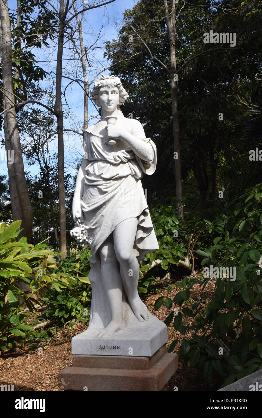 Statue à l'automne, le Jardin botanique royal de Sydney Banque D'Images