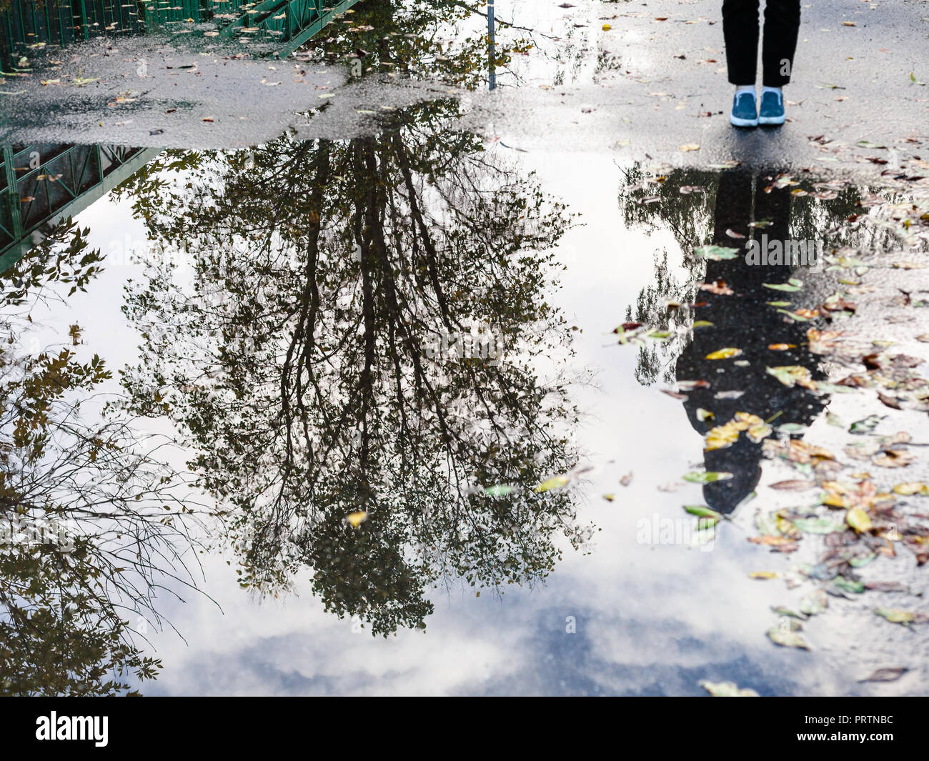 La ville d'automne - adolescent près de flaque de pluie avec la réflexion sur l'arbre sur la route en milieu urbain (l'accent sur la réflexion dans la flaque) Banque D'Images
