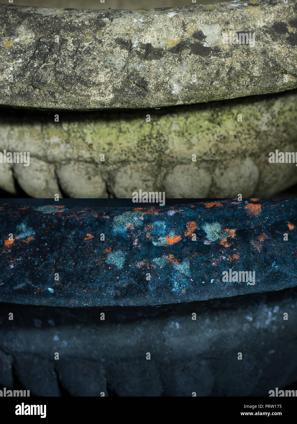 Jardin de la surface de l'urne en pierre voir en plein jour et seulement éclairé par la lumière UV 365 nm causant des lichens et des algues d'une fluorescence dans les modèles invisibles Banque D'Images