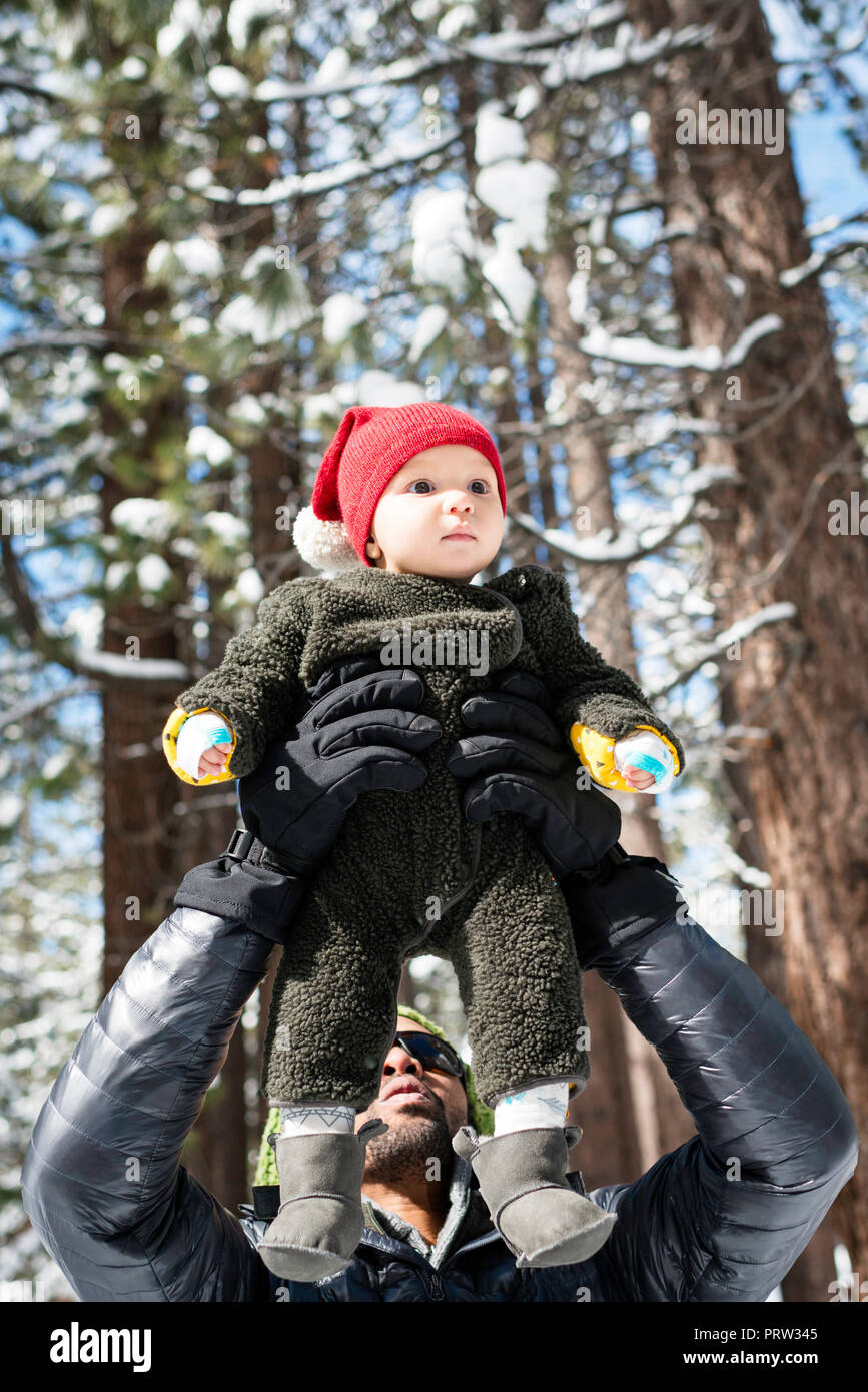 Père holding up baby son hiver en forêt, South Lake Tahoe, California, USA Banque D'Images