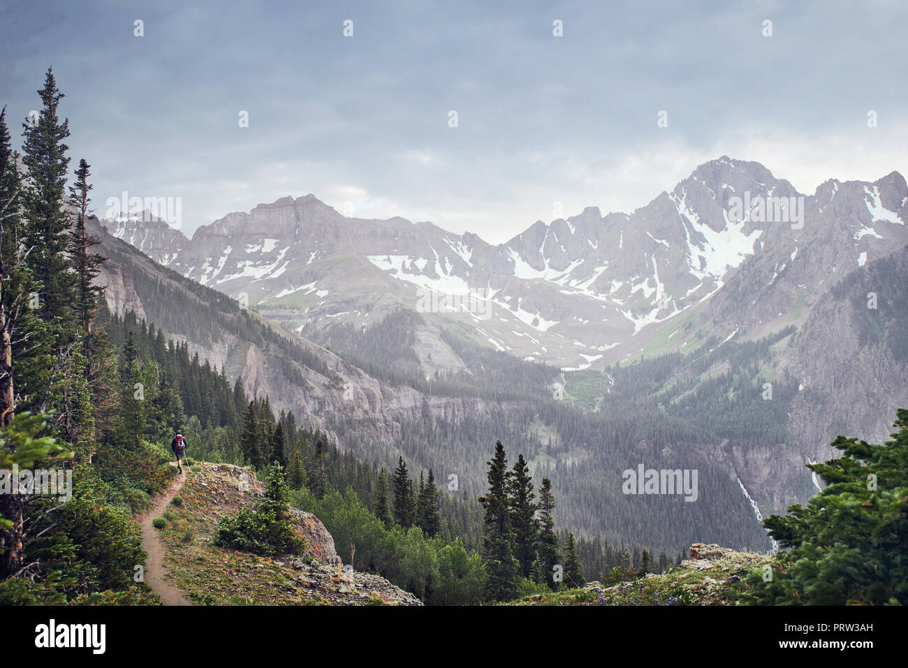 Homme randonnée, Mont Sneffels, Ouray, Colorado, USA Banque D'Images