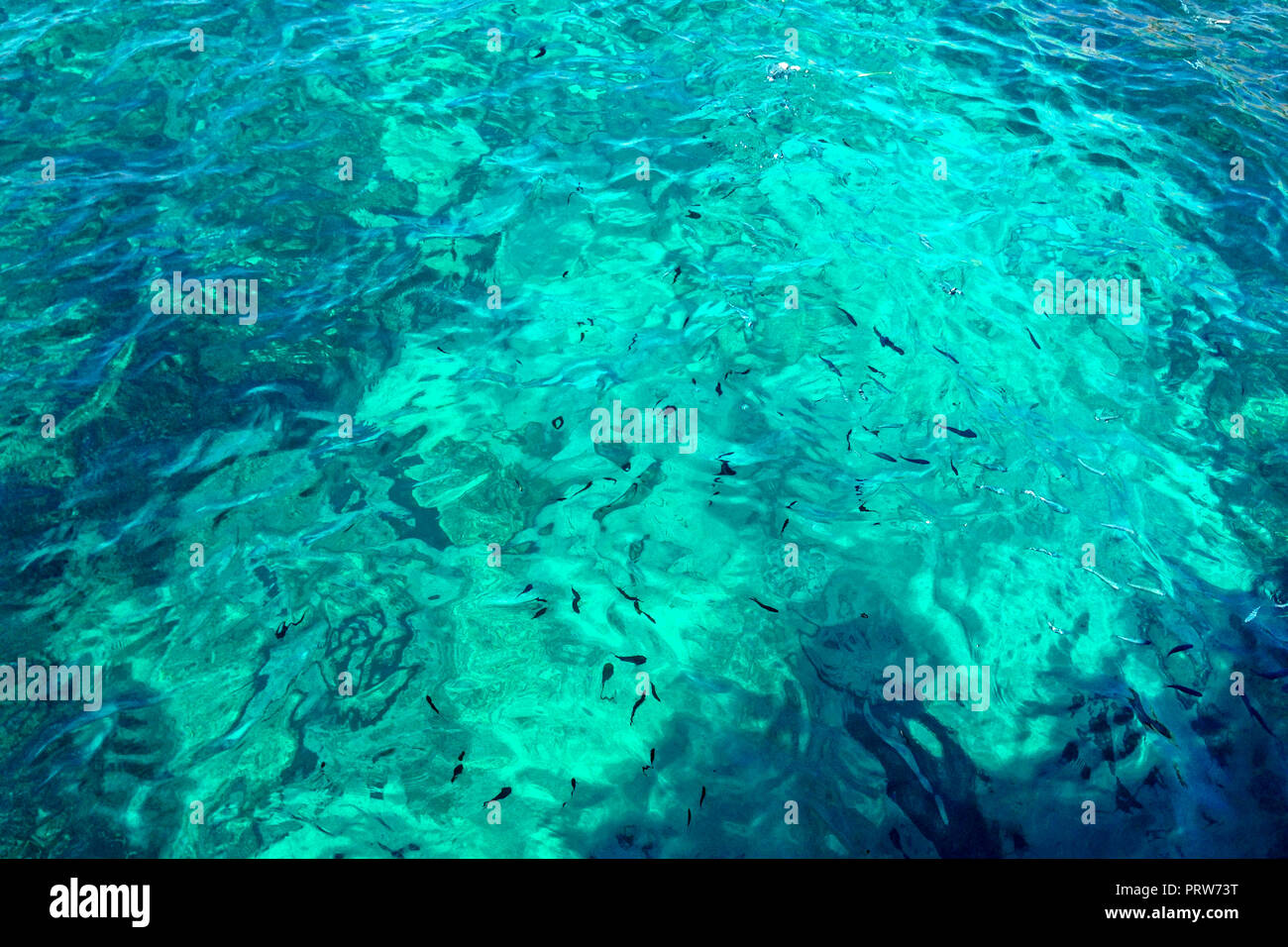 Résumé photo de l'eau, l'eau.motif de fond fond de l'eau de mer émeraude avec de nombreux poissons. La mer de cristal. Malte, l'île de Comino. Comino, Malte Banque D'Images