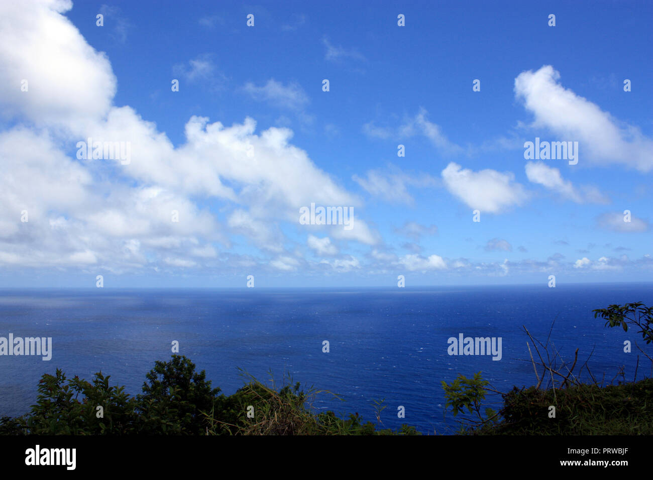 Plusieurs nuances de bleu dans l'océan Pacifique avec des cumulus et végétation en premier plan à la vallée Waipio Lookout à Honokaa, Hawaii, Banque D'Images