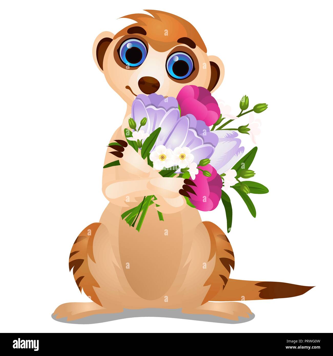 Meerkat avec un bouquet de fleurs isolé sur fond blanc. Cartoon Vector illustration close-up. Illustration de Vecteur
