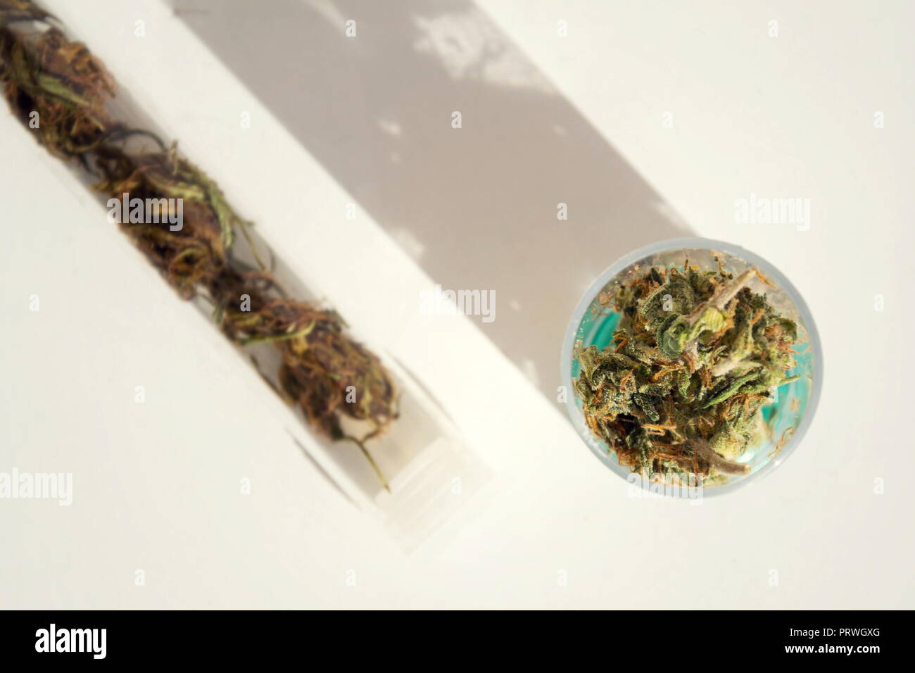 La marihuana médicale, prescription du cannabis en bouteille plastique, Close up isolé sur fond blanc Banque D'Images